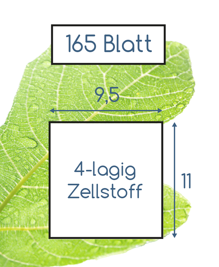 Toilettenpapier 4 lagig Zellstoff Super Soft • 165 Blatt (8x8 Rollen)